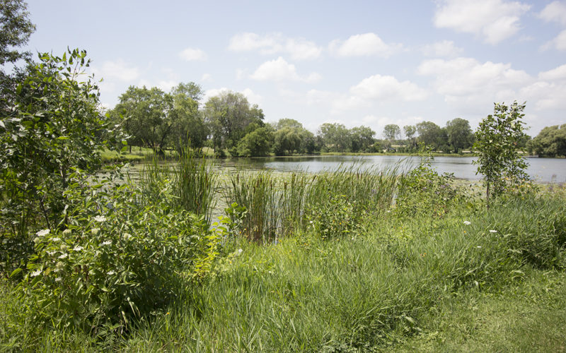 Dittmar Realty - Green Valley Manufactured Homes