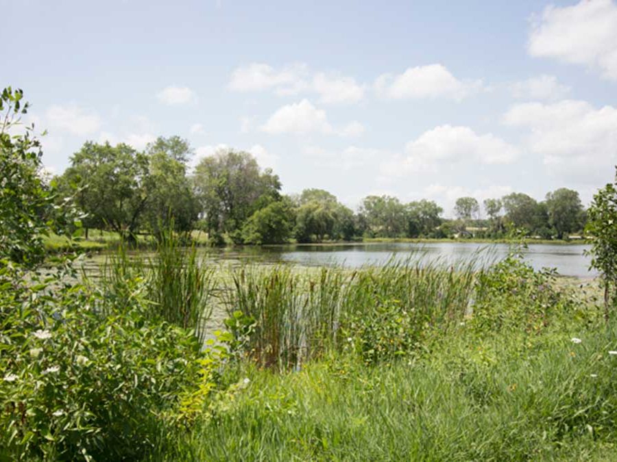 Green Valley Manufactured Home Wetlands